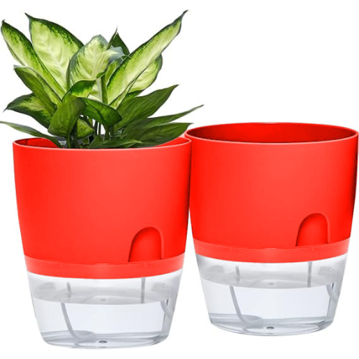 self-watering-hydroponics-kit-effortless-plant-care-sol